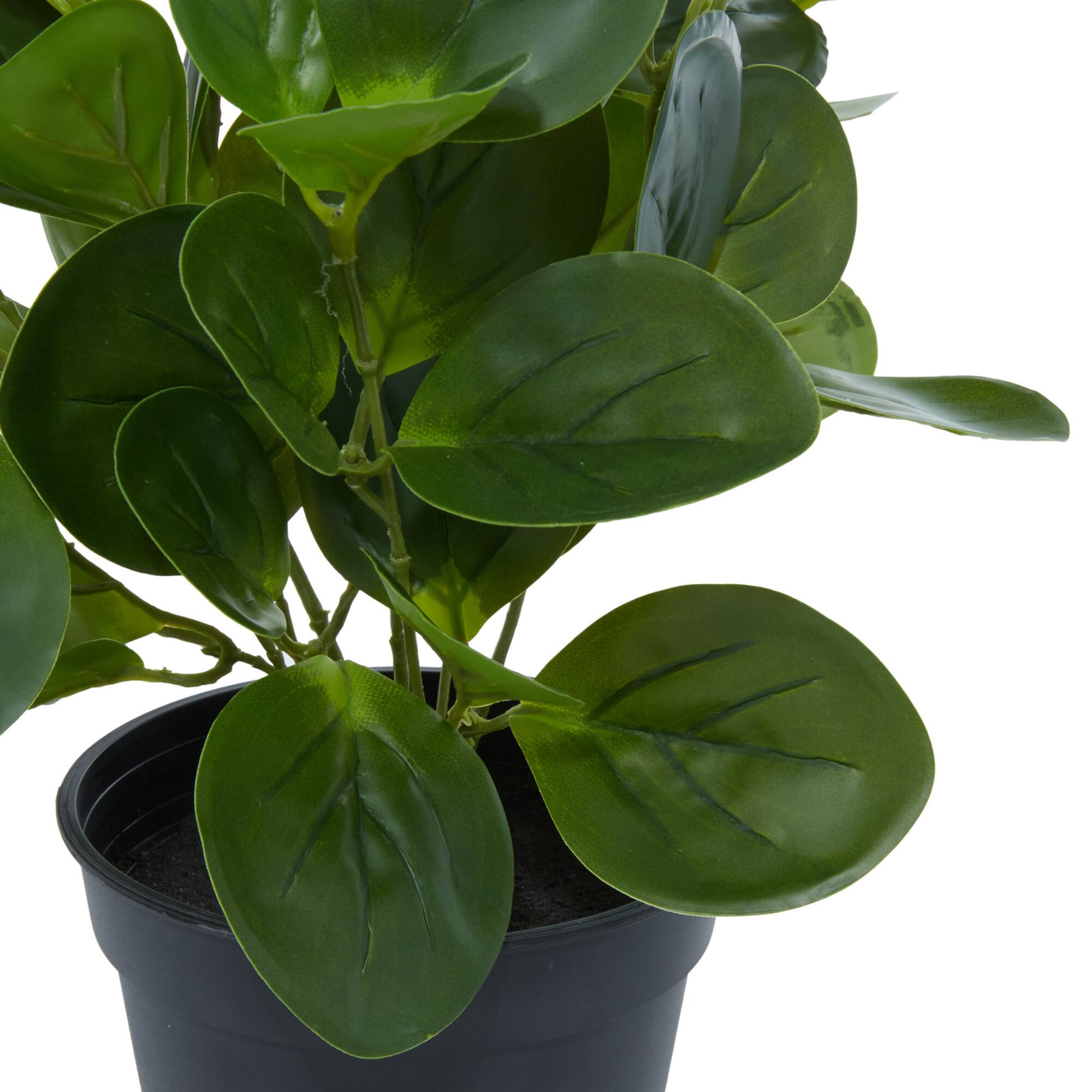 Green Plastic Traditional Artificial Foliage, 10" x 7" x 13"